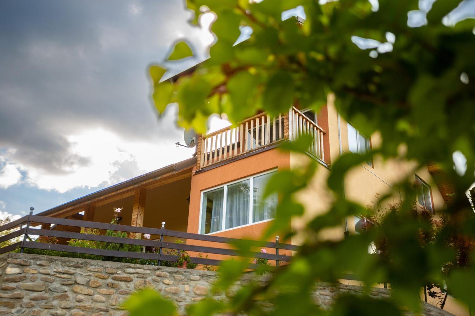 Casa Rumelia Paltineni Εξωτερικό φωτογραφία