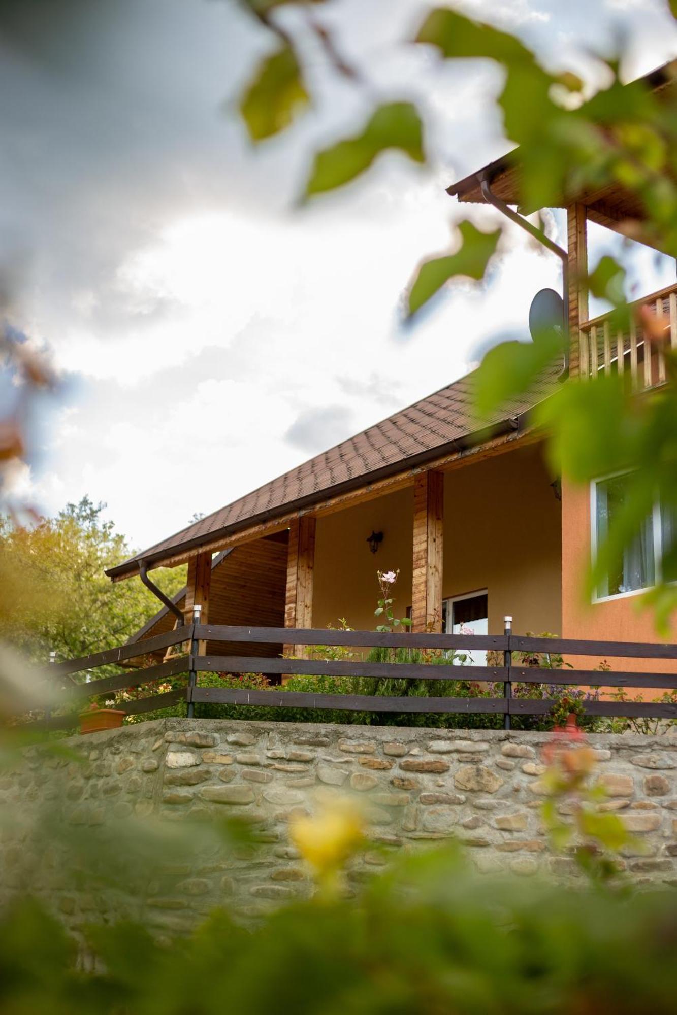 Casa Rumelia Paltineni Εξωτερικό φωτογραφία