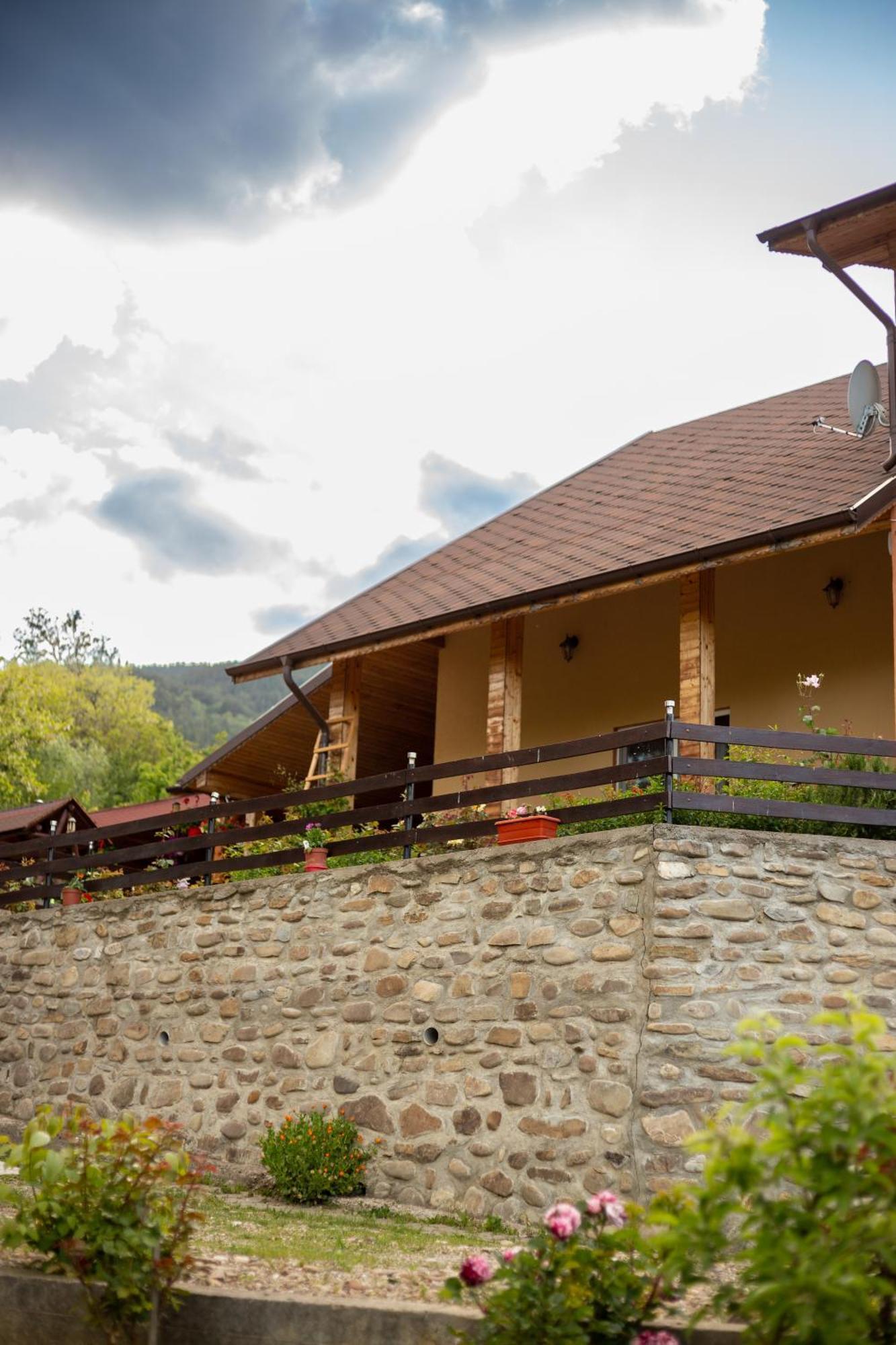 Casa Rumelia Paltineni Εξωτερικό φωτογραφία