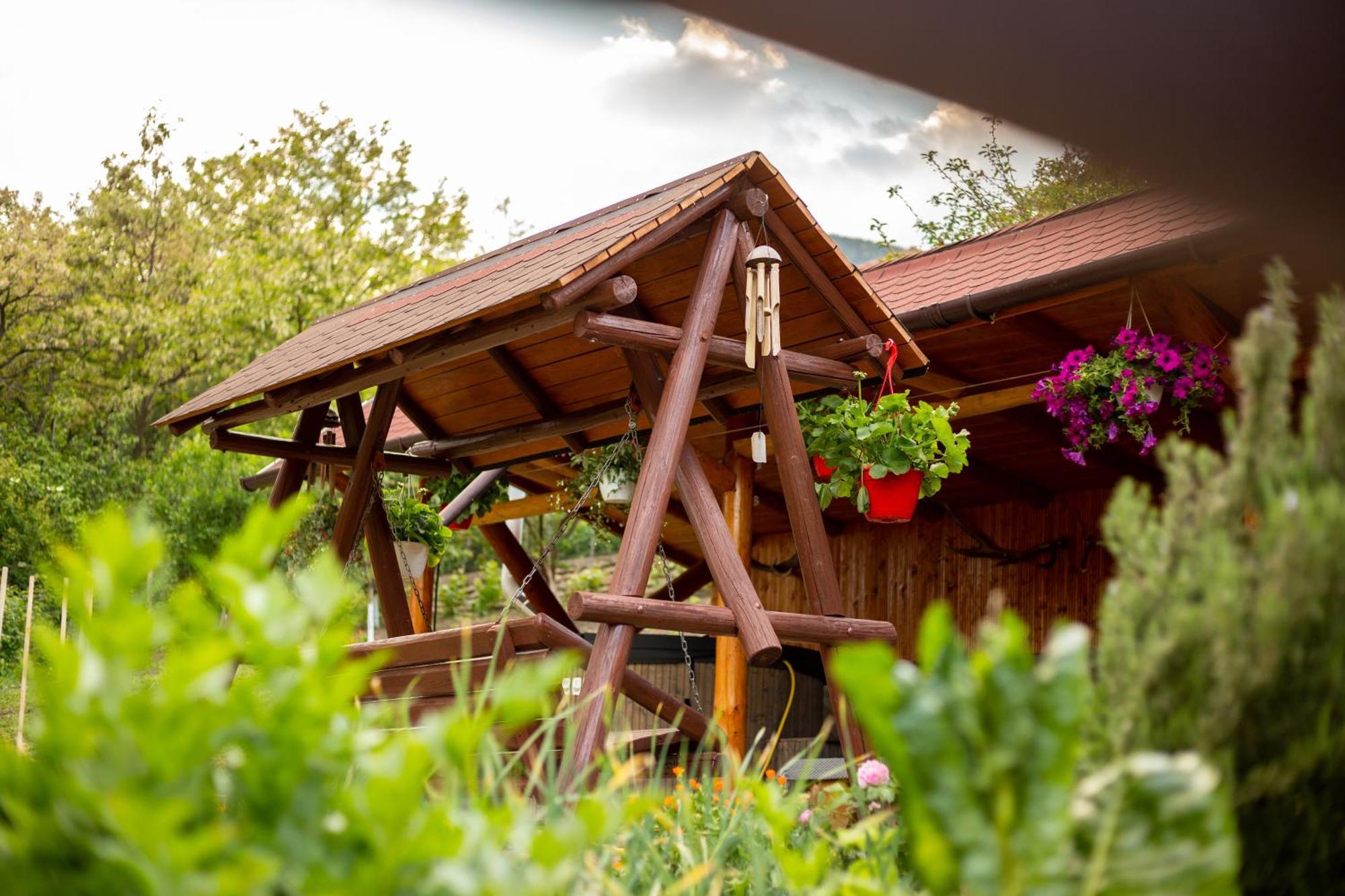 Casa Rumelia Paltineni Εξωτερικό φωτογραφία